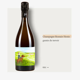 Champagne Romain Henin - gamin du terroir香槟罗曼埃南风土小子起泡葡萄酒