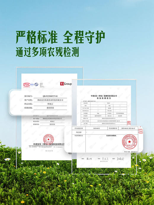 MM 山姆 鲜豌豆 750g 商品图3