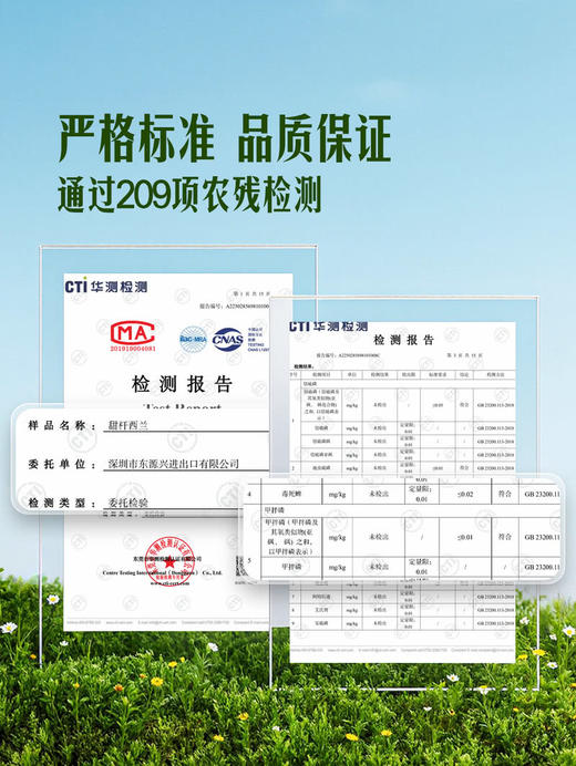 MM 山姆 甜杆西兰花 600g 商品图3
