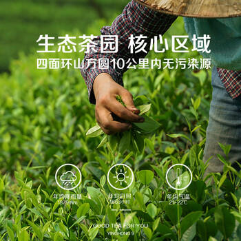 积庆里有机茶叶一级英红九号浓香英德红茶配礼袋醇逸120克*2罐(共240克) /水饮冲调 /茗茶 /红茶 商品图6
