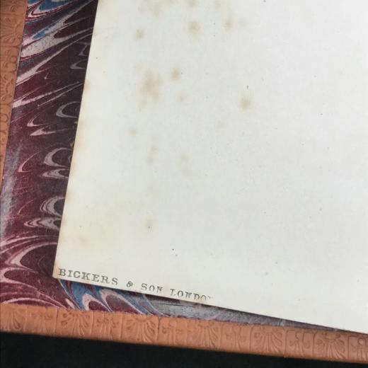 工坊特装本！1881年 科学主题通俗讲座（全2卷） 全真皮精装32开 商品图2