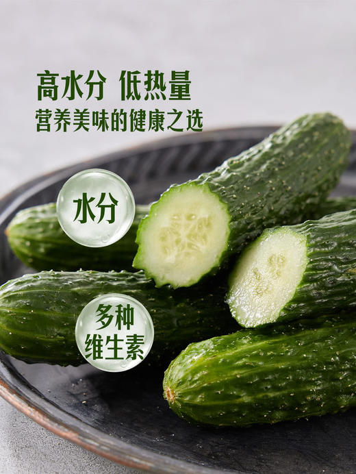 MM 山姆 黄瓜 1kg 商品图5