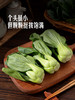 MM 山姆 上海青苗 600g 商品缩略图3