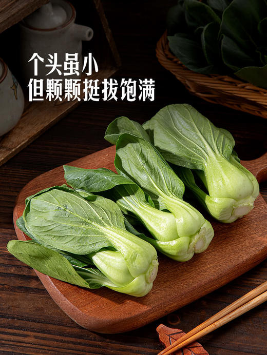 MM 山姆 上海青苗 600g 商品图3