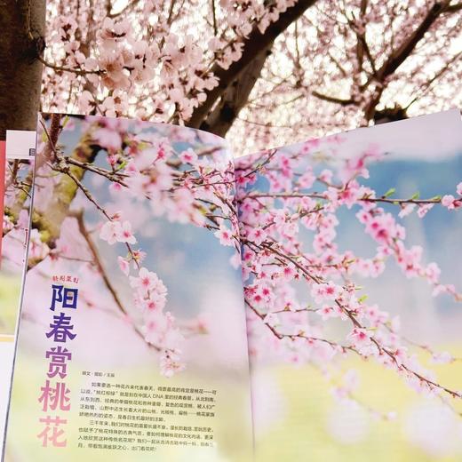 《博物》 自然人文综合知识类杂志 已更新至2026年四月刊（第4期） 《中国国家地理》青春版 科普百科 商品图6