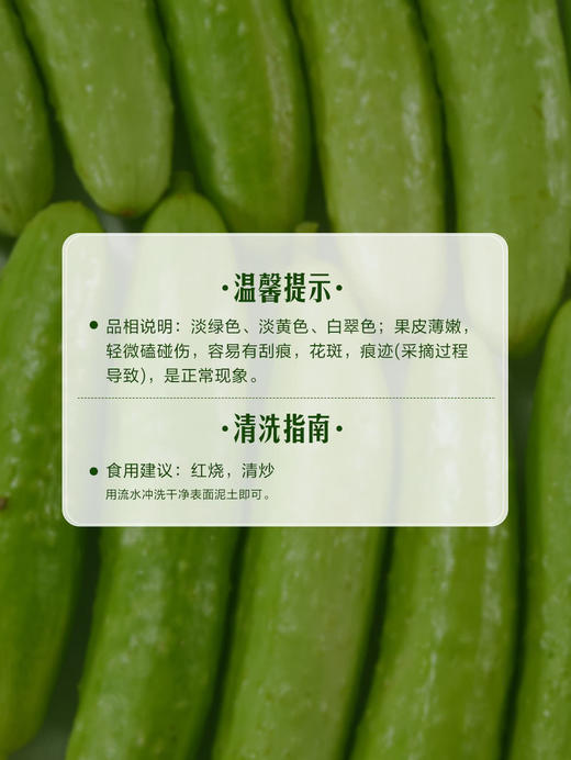 MM 山姆 奶油小黄瓜 850g 商品图6