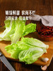 MM 山姆 有机生菜 600g 商品缩略图4