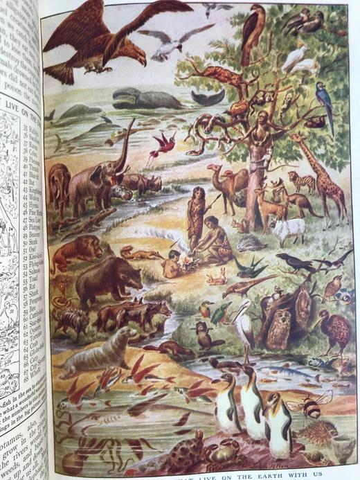 约20世纪早期 儿童百科全书（8卷） 数千幅插图 精装18开 商品图5