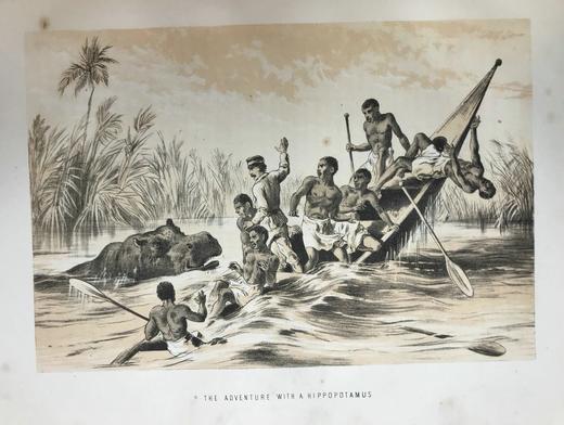 约19世纪后期 利文斯通的生平与探险 数十幅插图 全真皮精装大16开 商品图8