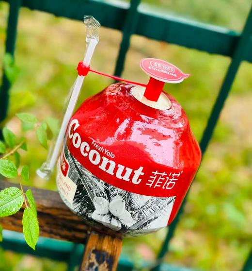 菲诺泰国丹嫩莎朵椰青| 上面自带开口处很容易打开 配送吸管 ，插上就能喝； 椰汁清甜不腻，椰香浓郁， 回味～～ 商品图2