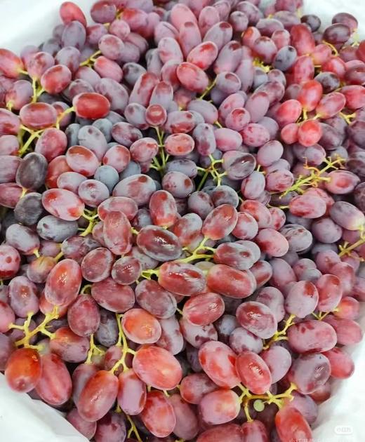 周日取货：【澳洲无籽红提】一份1.5斤左右，脆嫩，无籽，纯甜。 商品图5