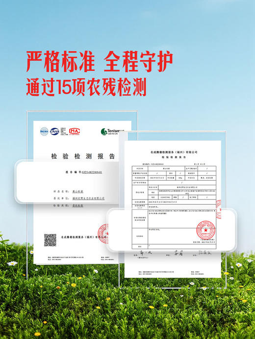 MM 山姆 高山粉茄 1.6kg 商品图4