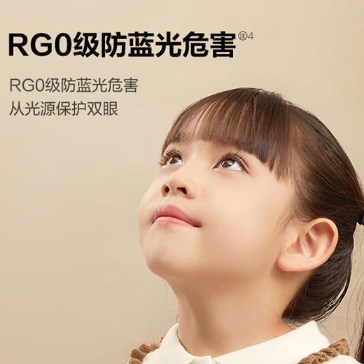 公牛 大路灯 ML-L100B 商品图2