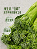 MM 山姆 甜杆西兰花 600g 商品缩略图5