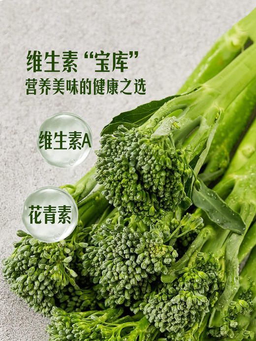 MM 山姆 甜杆西兰花 600g 商品图5