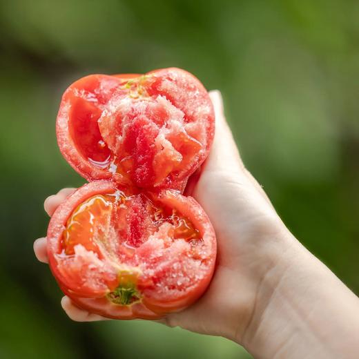 【包邮】普罗旺斯菜番茄，不催熟无膨大催红，健康自然熟，香气浓郁，沙瓤爆汁，酸甜有果味 商品图0