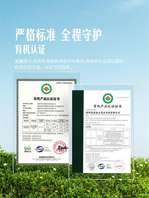 MM 山姆 有机土豆 1kg 商品图3