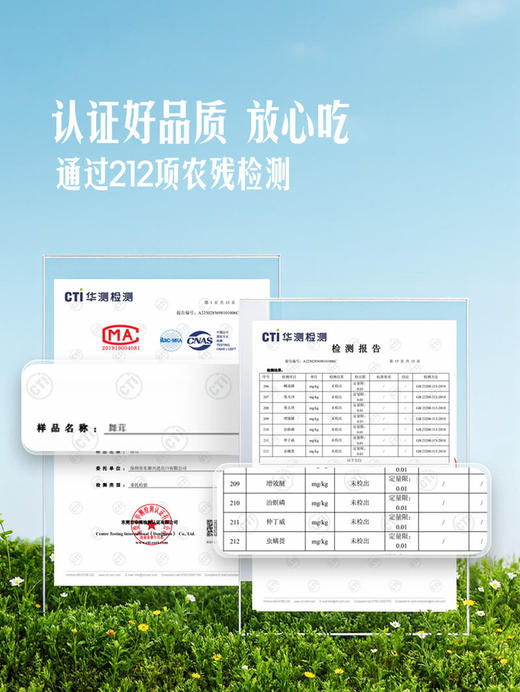 MM 山姆 舞茸 300g 商品图2