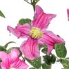 配花 | 铁线莲灵感 商品缩略图5