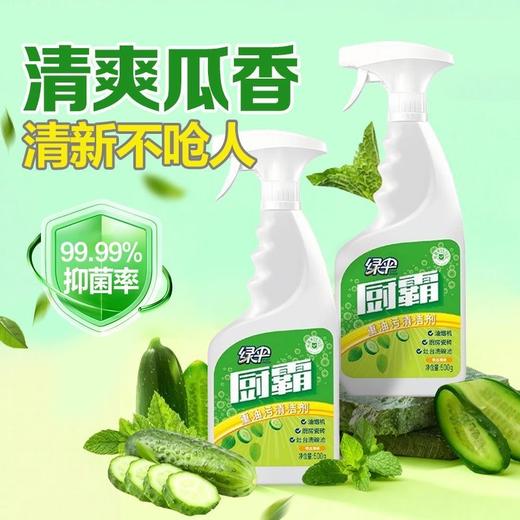 绿伞厨霸清洁剂强力去油污去重油除菌厨房卫生间瓷砖阳台厨房重油污克星 商品图3