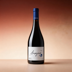 蓝色幻想西拉红葡萄酒2021年