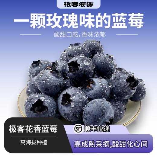 极客花香蓝莓丨有香味口感的蓝莓，果肉紧实，带微酸，气温回暖，脆度相对之前略有下降，介意慎拍⭐️顺丰空运 商品图0