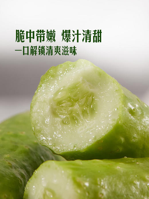 MM 山姆 奶油小黄瓜 850g 商品图2