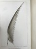 1886年 约翰·罗斯金《往事录》（全2卷） 配钢版画插图 漆布精装18开 商品缩略图7