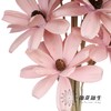 永生花 | 瓜子花粉色 商品缩略图3