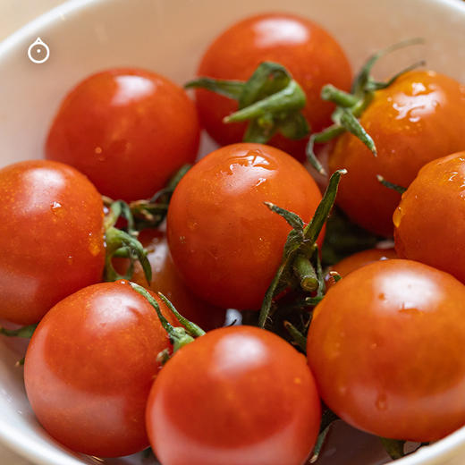 7天内发 企鹅市集|山东潍坊 斑斓小番茄盲盒 随机到手6个品种 优秀培育品种 滋味浓郁集中 商品图5