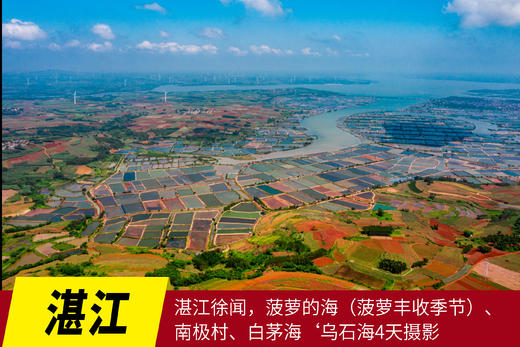 4.18湛江徐闻，菠萝的海（菠萝丰收季节）、南极村、白茅海‘乌石海4天摄影 商品图0