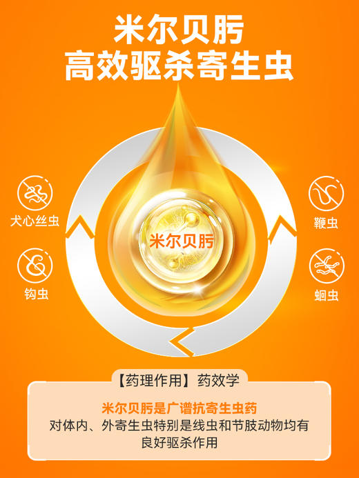普安特狗狗驱虫药体内驱虫狗宠物驱虫犬用内驱虫狗米尔贝肟爱可净 商品图2