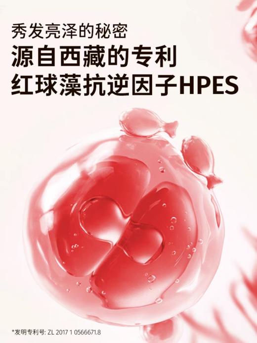 Befe琉光星云护发精油120ml 商品图5