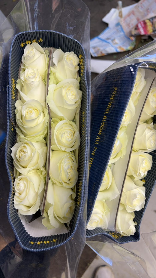 金锦骄傲50公分花头大 商品图0