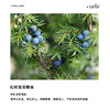 利芙耶 杜松浆果单方精油 商品缩略图1
