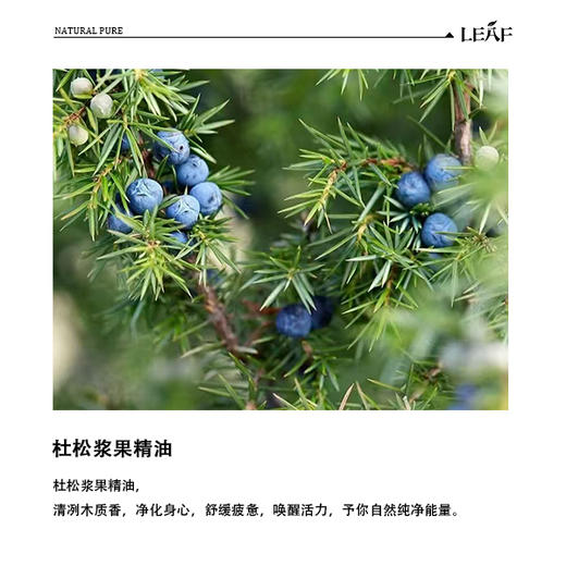 利芙耶 杜松浆果单方精油 商品图1