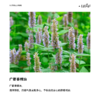 利芙耶 广藿香单方精油 商品缩略图1