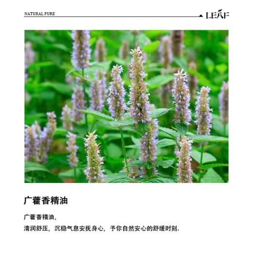 利芙耶 广藿香单方精油 商品图1