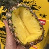 海南金钻凤梨【2粒装】果香馥郁，还没下口先被凤梨香味迷倒。肉质鲜嫩脆甜，非常好吃！ 商品缩略图0