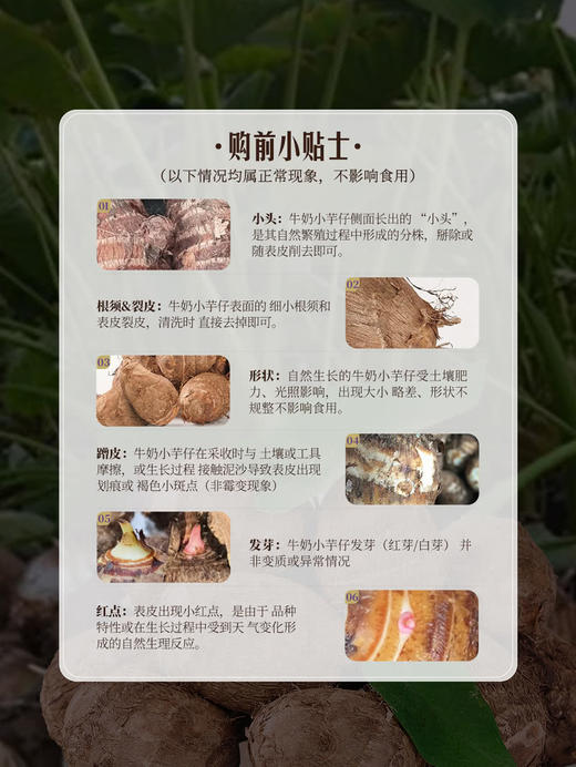 MM 山姆 牛奶小芋仔 2.5kg 商品图7