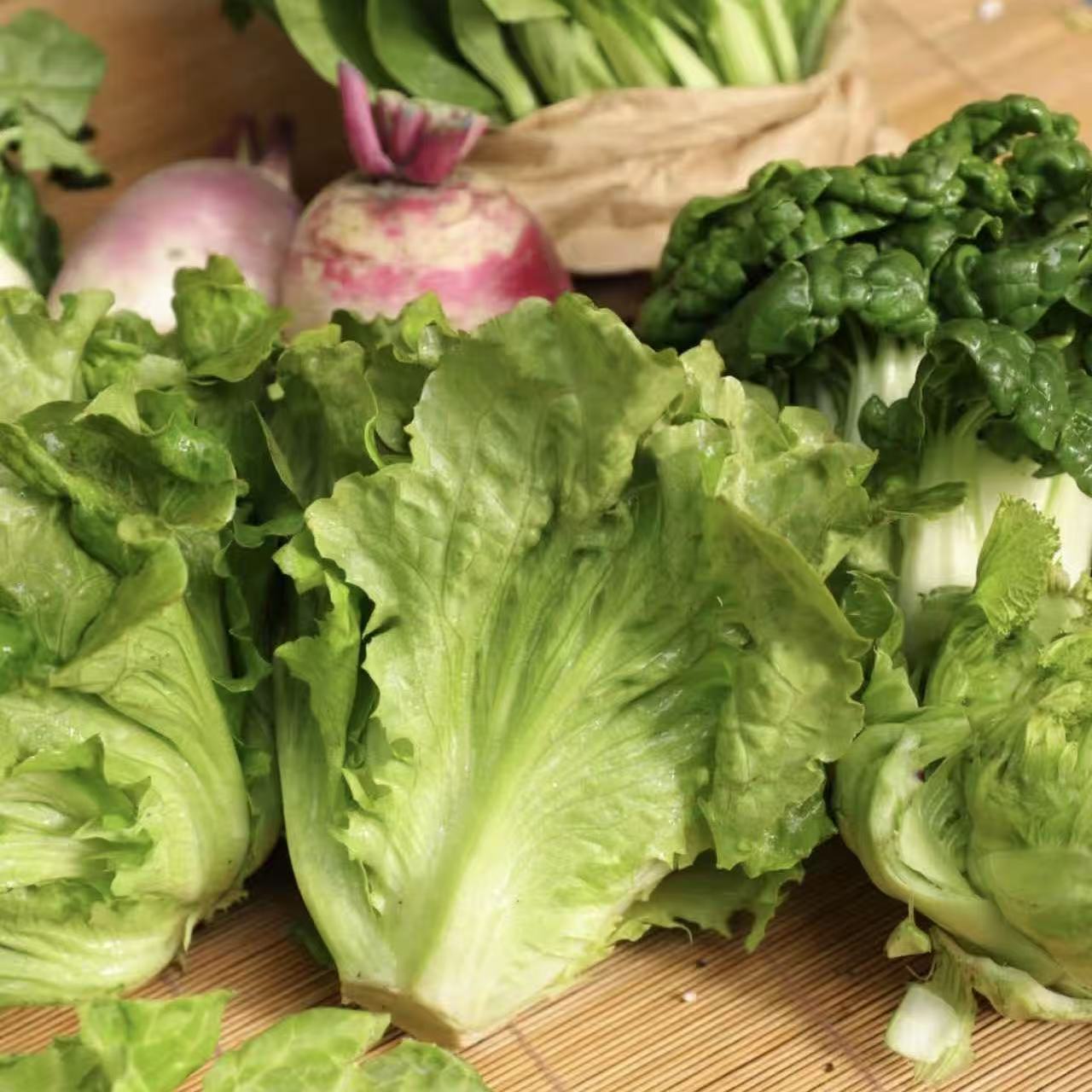 生态西芹 / 生菜丨时令鲜蔬，露天生态有机标准种植，羊粪发酵有机肥，香味浓郁，现采现发⭐顺丰快递