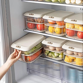 摩登主妇冰箱收纳盒食品级整理盒家用厨房鸡蛋果蔬饮料密封保鲜盒