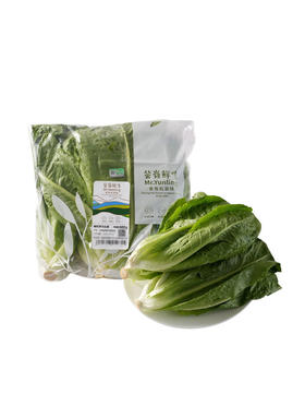 MM 山姆 有机罗马生菜 600g