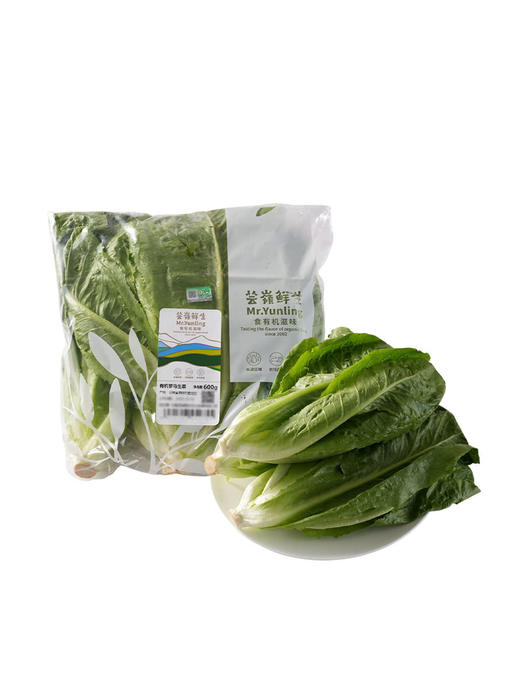 MM 山姆 有机罗马生菜 600g 商品图0