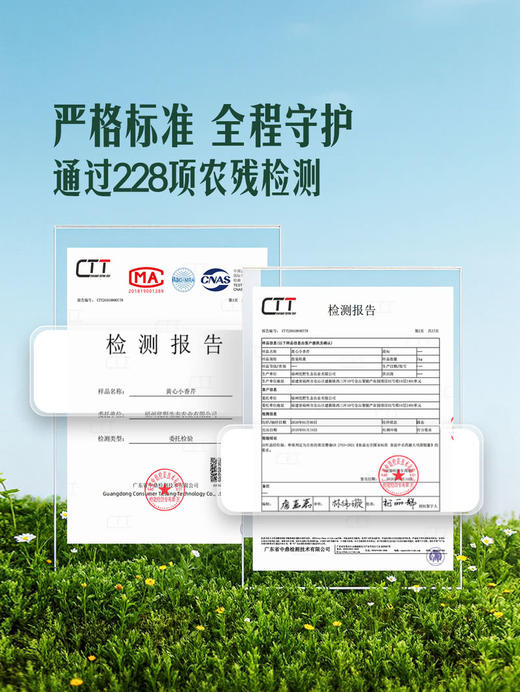 MM 山姆 黄心小香芹 350g 商品图3