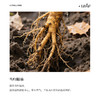 利芙耶 当归单方精油 商品缩略图1