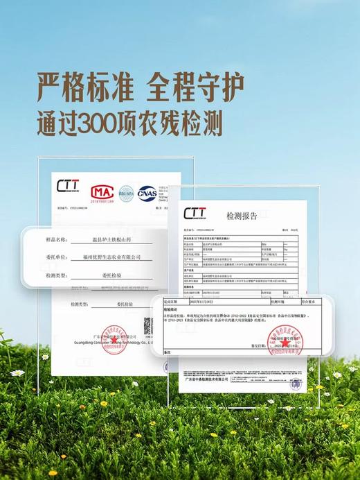 MM 山姆 温县垆土铁棍山药 1kg 商品图4