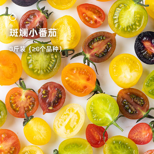 7天内发 企鹅市集|山东潍坊 斑斓小番茄盲盒 随机到手6个品种 优秀培育品种 滋味浓郁集中 商品图0