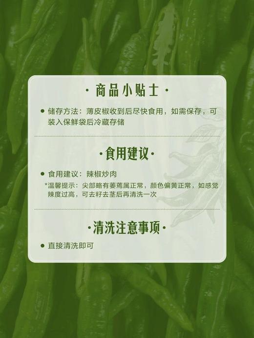 MM 山姆 辣椒炒肉薄皮椒 400g 商品图6