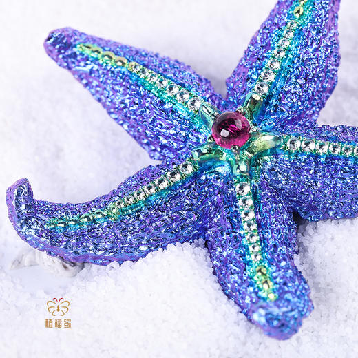 母亲节众筹《柔软的力量》钛金海星胸针 商品图3